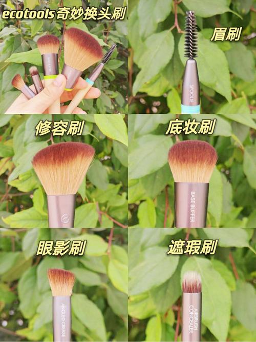 代刷工具之分,快、优、美,选择你!