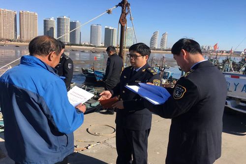 海阳SEO优化与海阳Web开发,打造高质量内容的助力