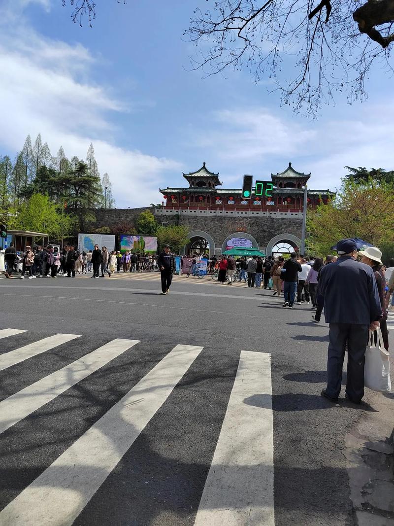 玄武区，一个充满活力的地区