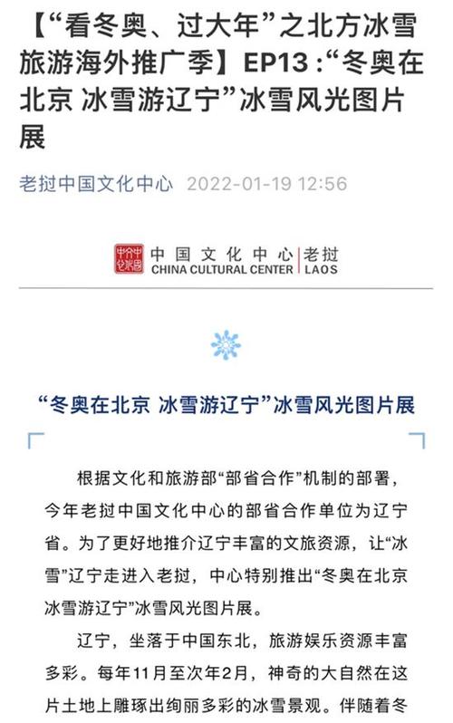 辽宁游戏网络推广指南