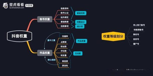 抖音浏览量提升指南，从优化内容到使用工具的实用策略