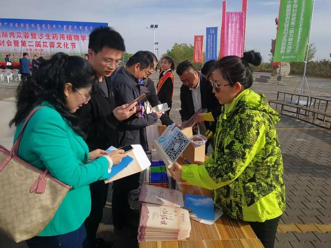 沙台网络推广指南，选择、开发与优化