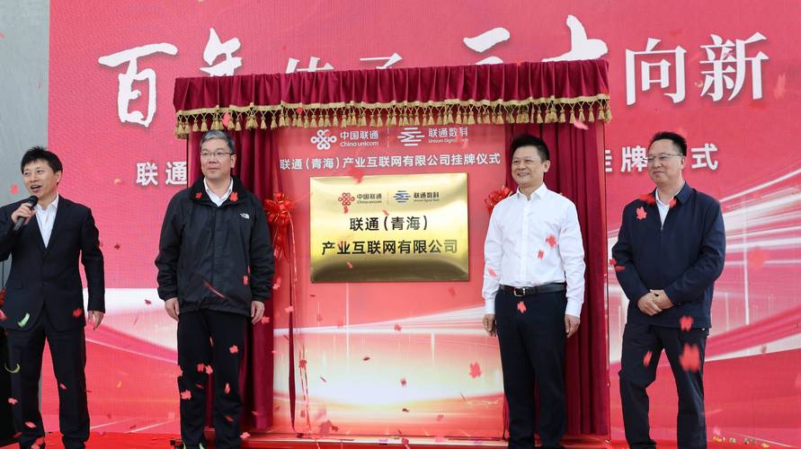 创网网络技术有限公司，专业网络平台，助力你的数字事业