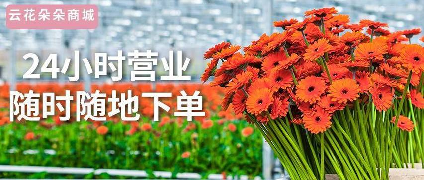 24小时自助下单平台，选择最便宜的dy平台