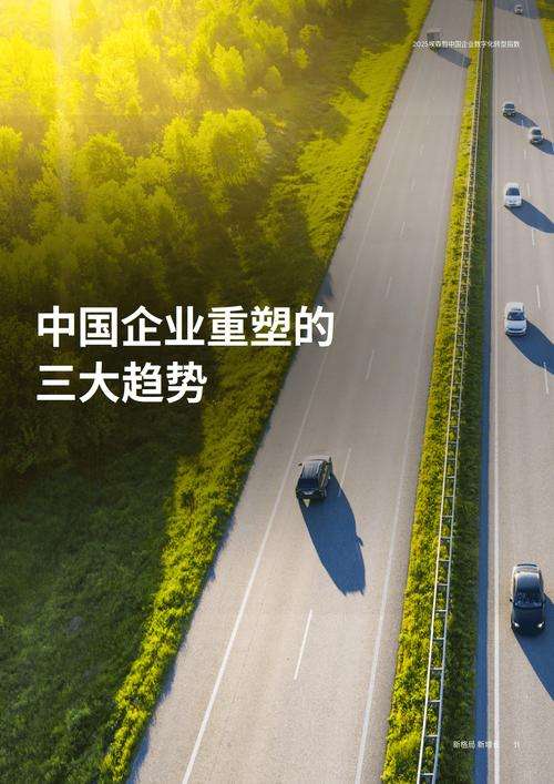 从挑战到机遇,中小型企业营销的未来之路