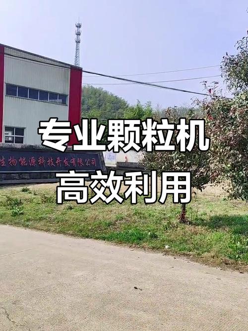 神手代刷,专业、便捷,助力高效数据整理