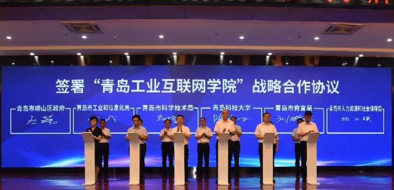 青岛网络公司,如何分析其盈利潜力?
