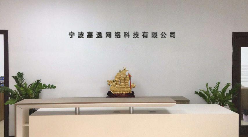 什么是宁波网络公司？