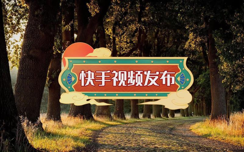 快手秒播放量手机版，如何提升内容播放量，助力短视频平台 thrive