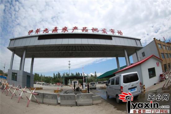伊犁网站建设评价