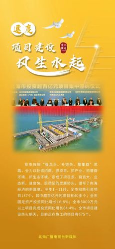 海市科技网站建设指南