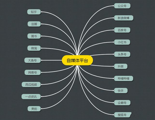 快手秒刷与 KS 刷赞，自媒体作者的高效工具指南