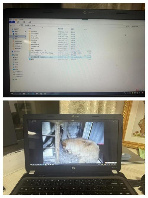 昆山博悦电脑城,笔记本电脑的第一选择