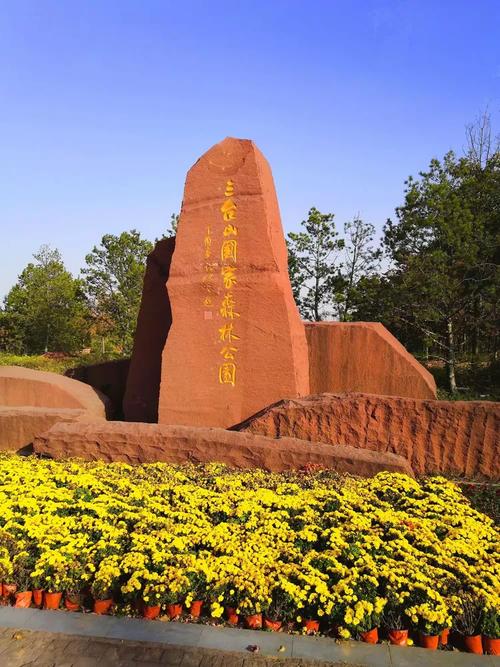 宿迁大海网络科技，开启旅游新体验—从品牌建设到用户驱动的增长之道