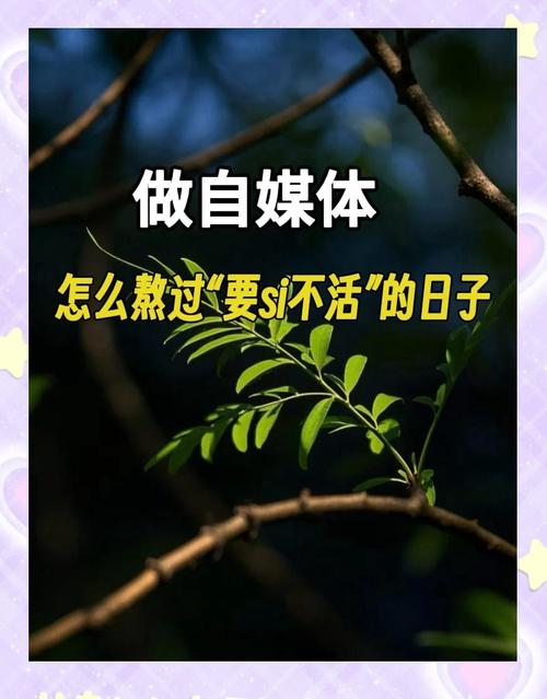 一、自媒体作者，数字生存的守护者