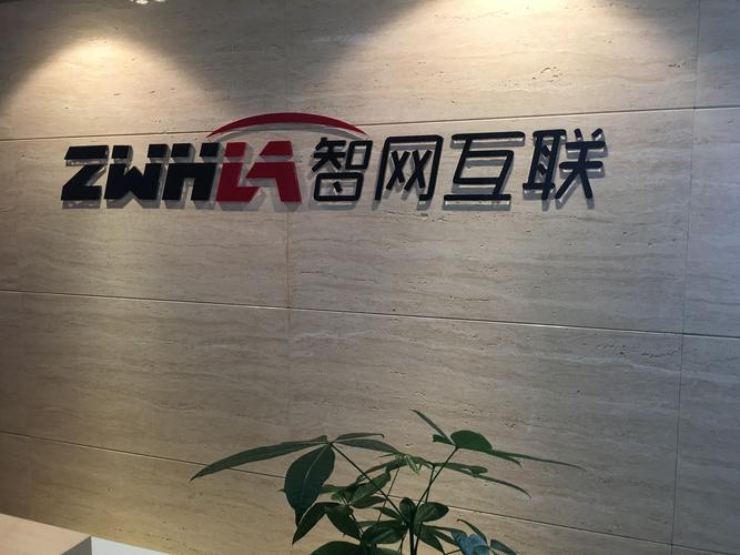 技术驱动的网络公司,创新与效率的完美结合