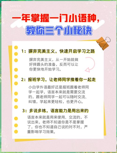 如何构建小语种网站？小技巧全解析！
