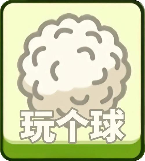 像抖音刷双击,我更会刷刷子