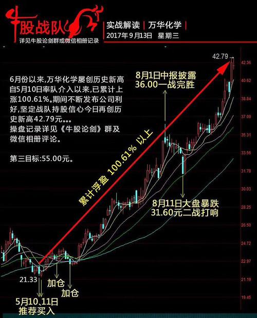 烟台网络,市场机遇与投资之道