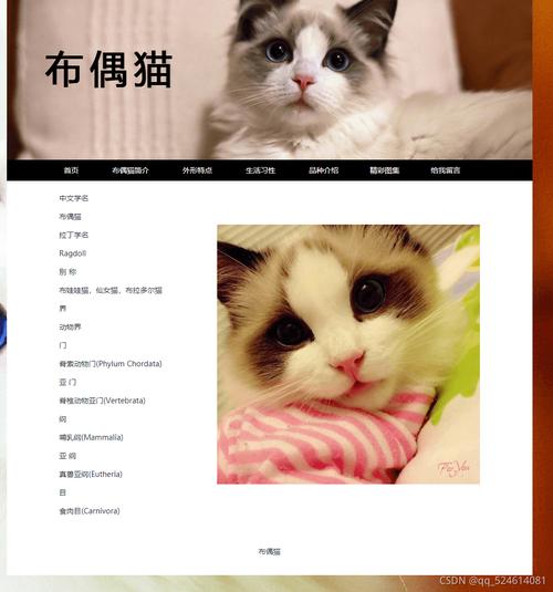 如何选择一家网站builder?