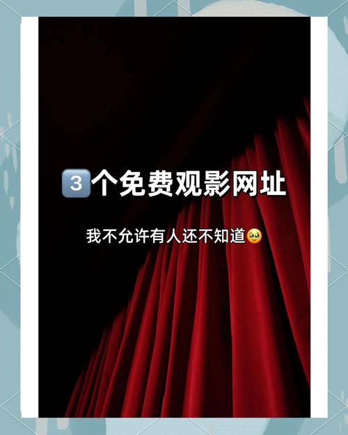 电影网站指南，从概念到运营