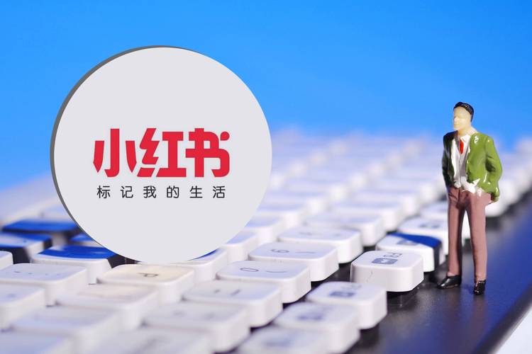 小红书点赞自助平台官网指南，让小红书成为你的粉丝热门平台