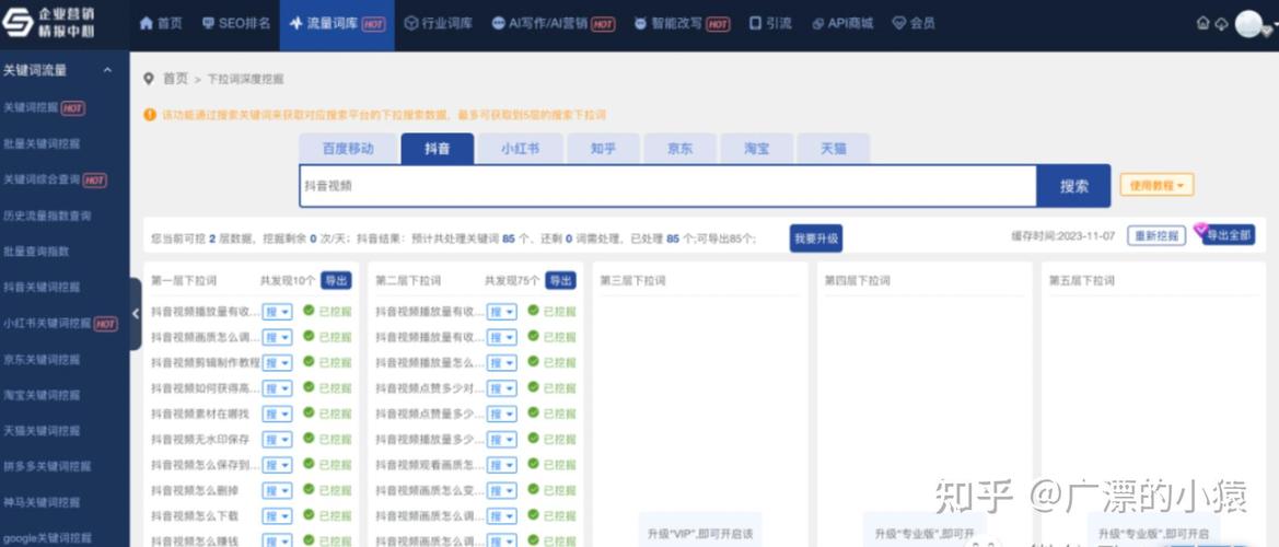 如何在抖音免费网站上精准刷取流量?