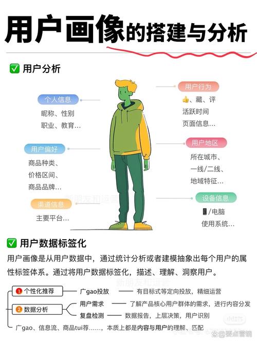 一、目标用户分析