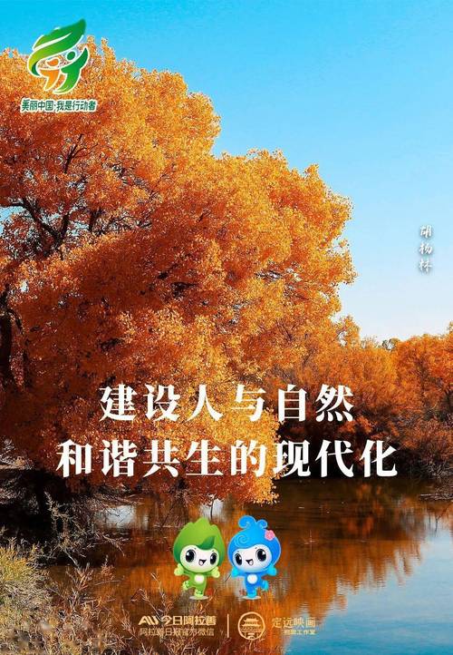站在历史的长河边,探索北京海淀的现代化之旅—网站建设的深层意义