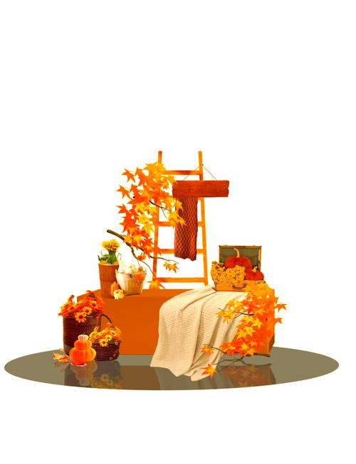 制作秋季网络设计，从灵感到最终作品