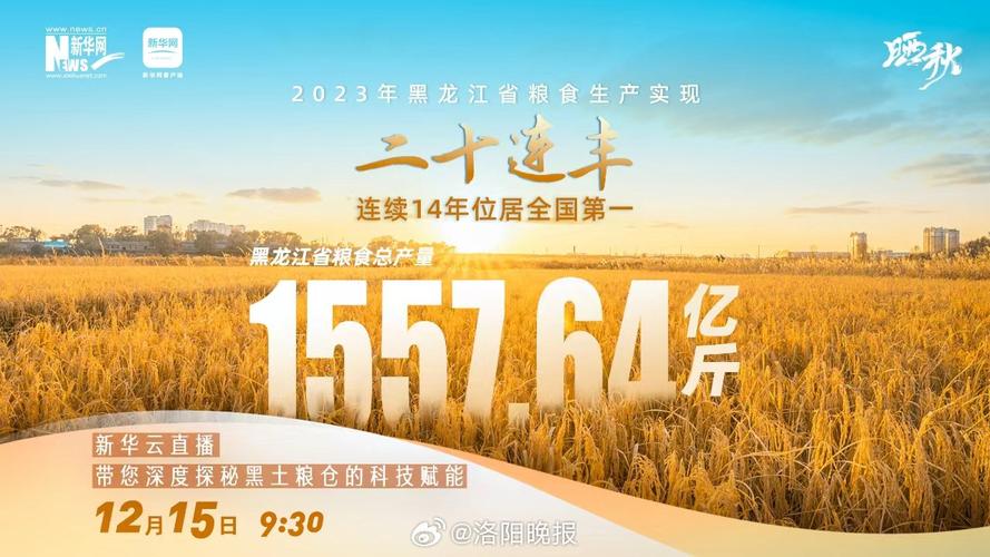 洛阳网络优化指南,让洛阳网络焕发光彩