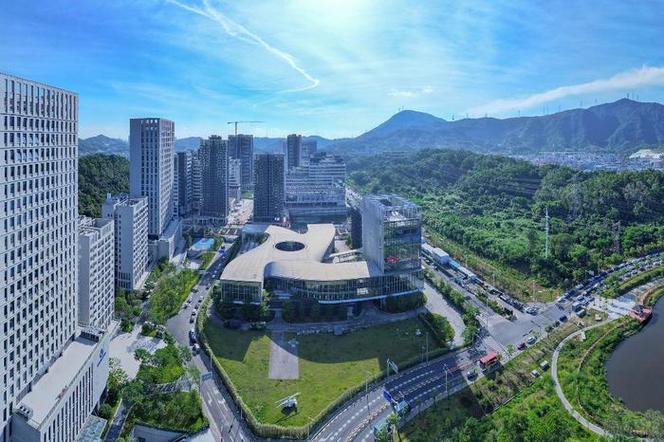 龙岗区网站建设指南,助力经济高质量发展