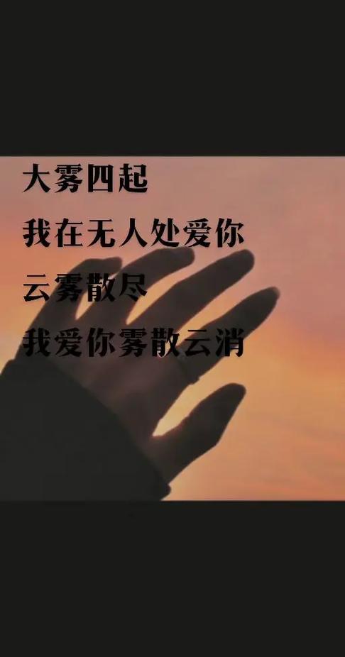 从抖音粉丝赞到 KS 网站,墨言代网唯独的低价 KS 我爱云