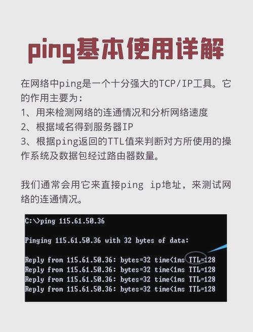 如何选择和管理网络路径,iIS的实用指南
