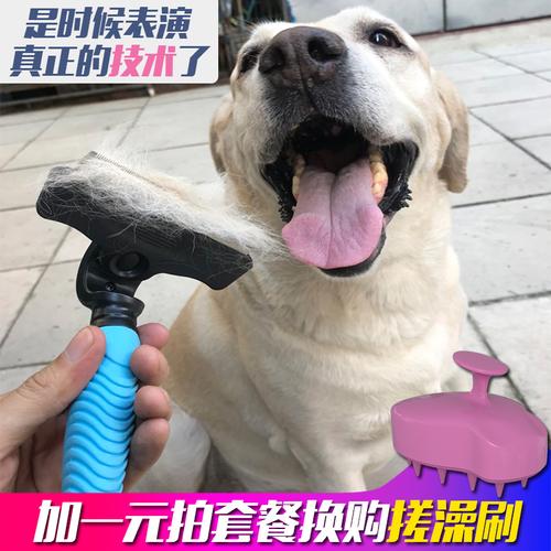 一、刷狗是什么?