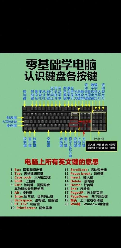 键盘的神秘之门—世界征服者电脑版的键盘布局