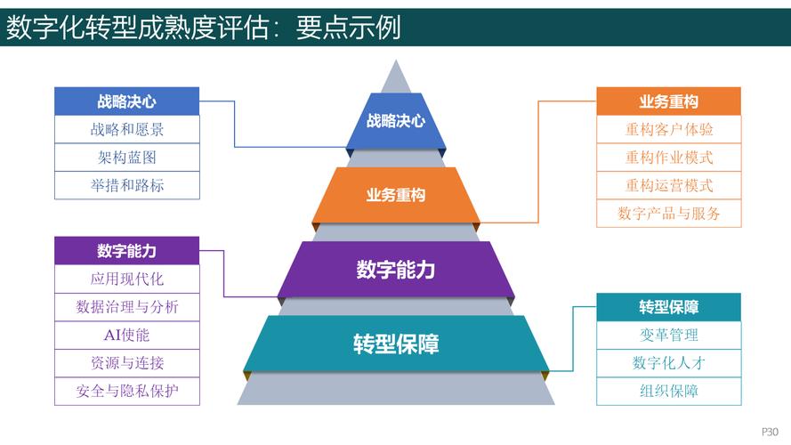 领导力在数字转型中的oids