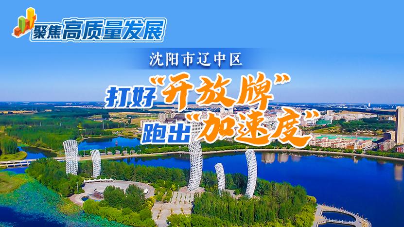 沈阳网络平台，开启未来发展的新路径