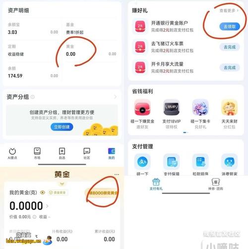 账户管理，高效便捷，蚂蚁蚂蚁与支付宝万众yers