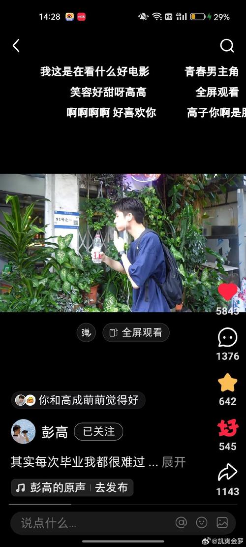 抖音自助完播到手到,QQ空间点赞到手到!