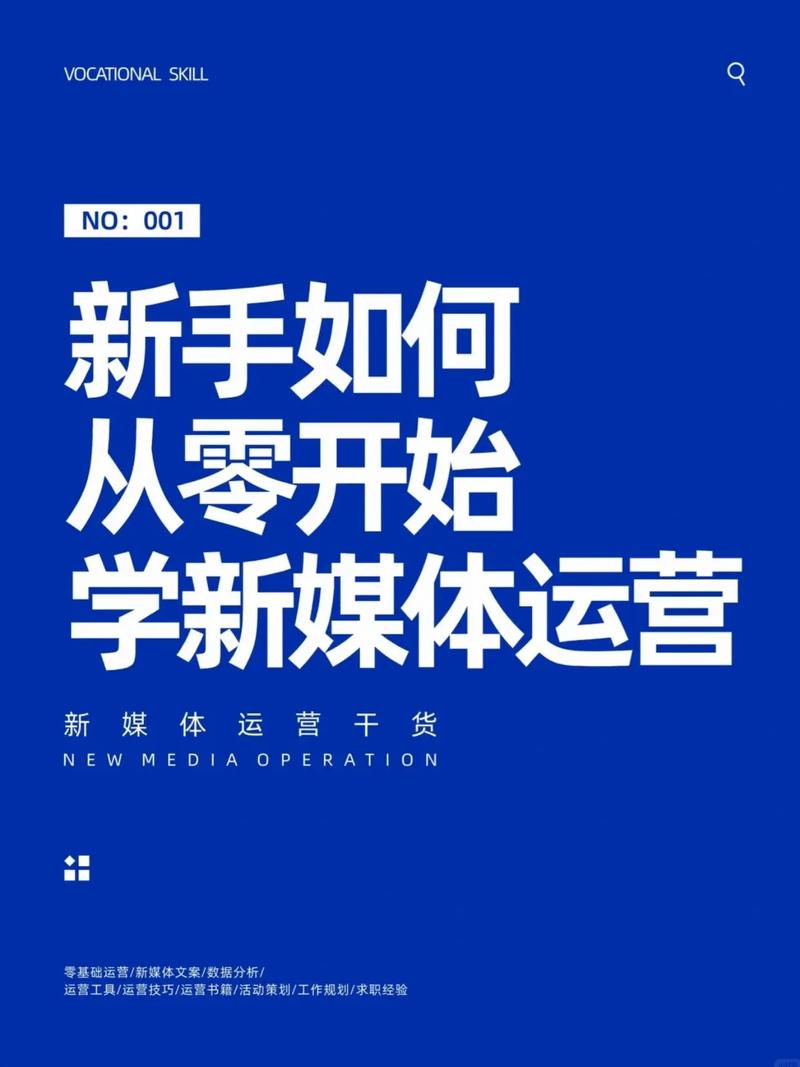 抖音双击广告投放指南,从零开始到成功运营