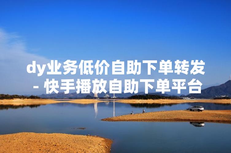 高手指南，快手业务秒网 vs dy自助下单业务网站，哪种更适合你？