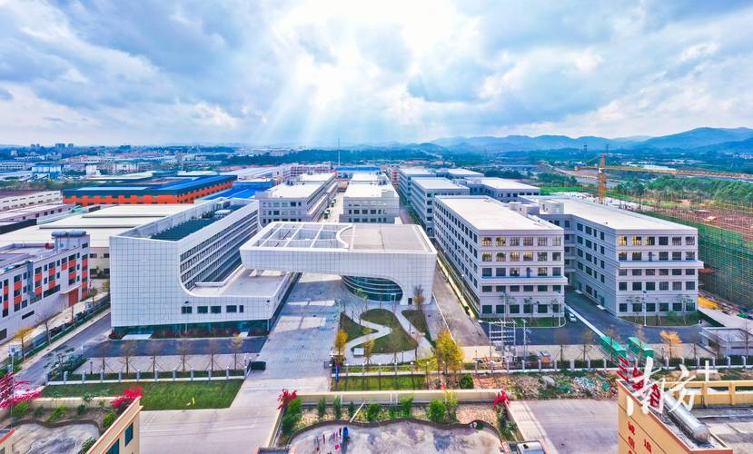 阳江网站建设专家