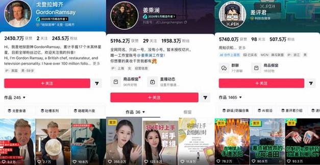 抖音专业刷赞平台南荷,打造高质量内容的高效选择