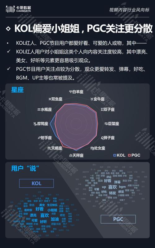 一篇关于快手秒业务、抖音官方咨询与KOL内容的指南