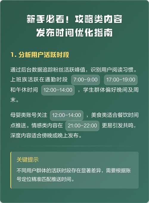新手网络优化指南