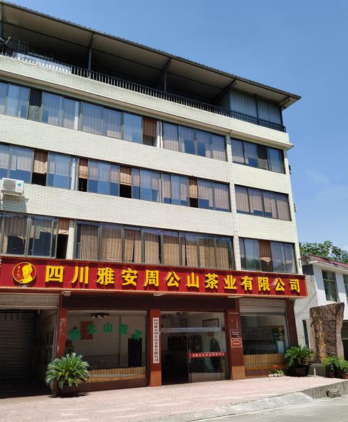 雅安网站设计公司推荐，选择哪个公司更值得信赖？