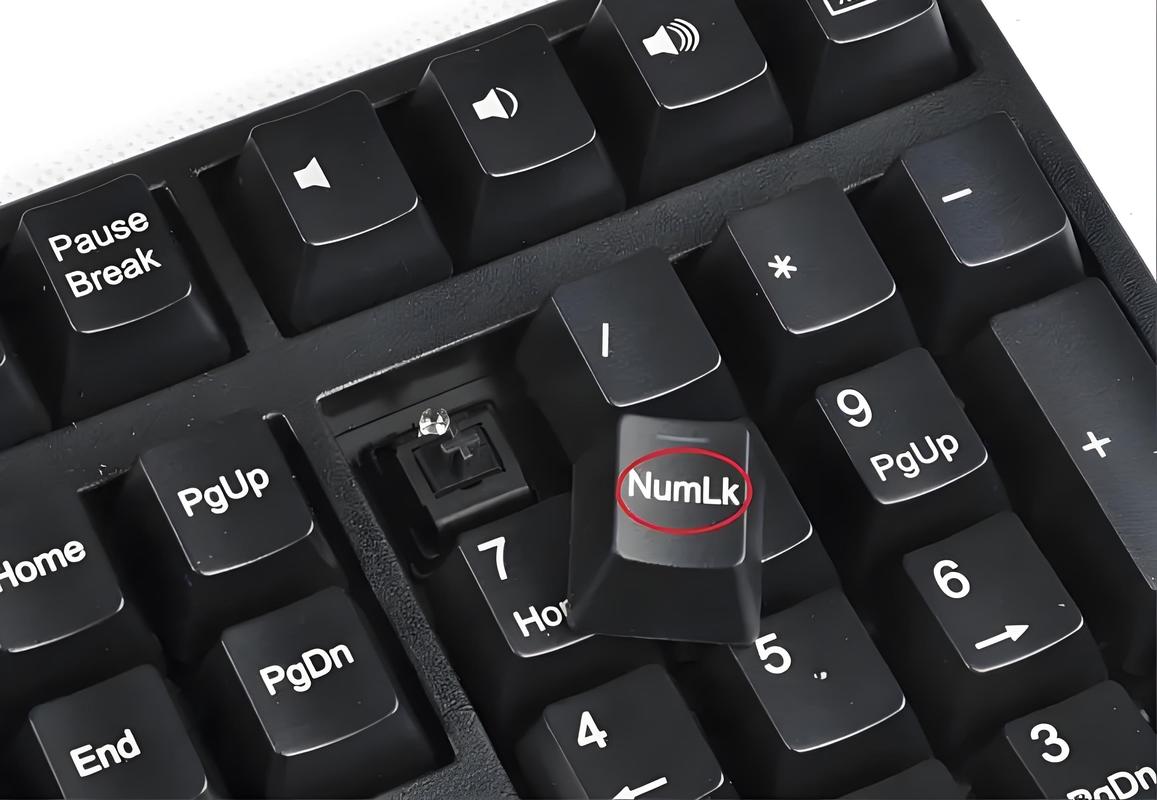 为什么电脑不能打字?你的配置真的有问题吗?