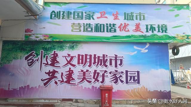 全面搭建桃城网站建设计划 桃城网站设计，从整体规划到细节优化