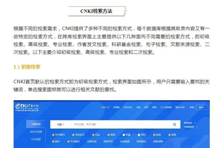 如何高效利用搜道网络技术有限公司提升网站搜索排名？